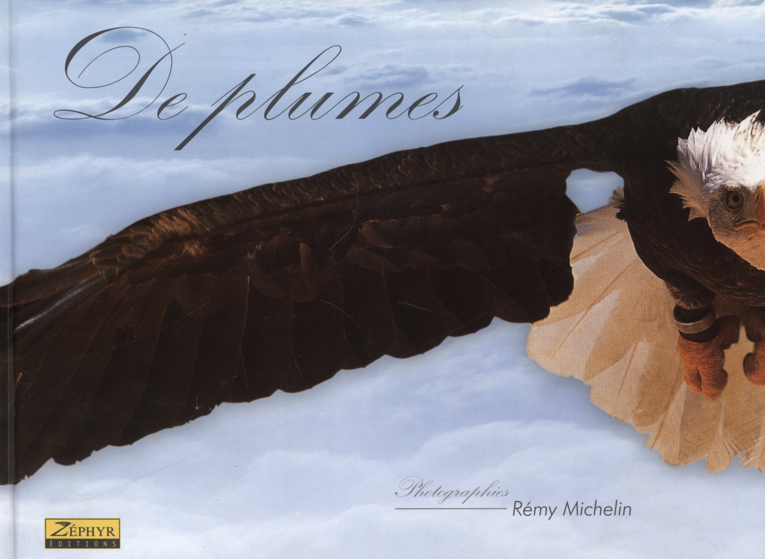 De plumes et de fer - Tome 2 - De plumes et de fer, tome 2 book