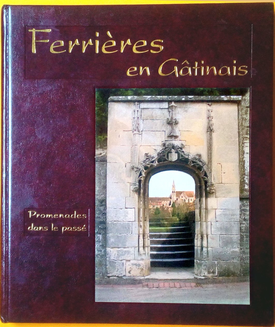 FERRIERES EN GÂTINAIS : Promenades dans le passé book