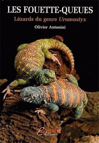 Les Fouette-queues: Lézards du genre Uromastyx Pets