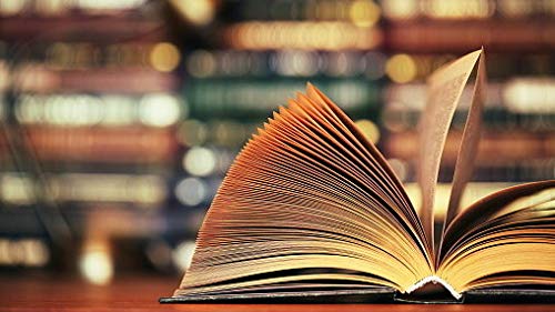Dictionnaire historique de la brasserie française du 20ème siècle book
