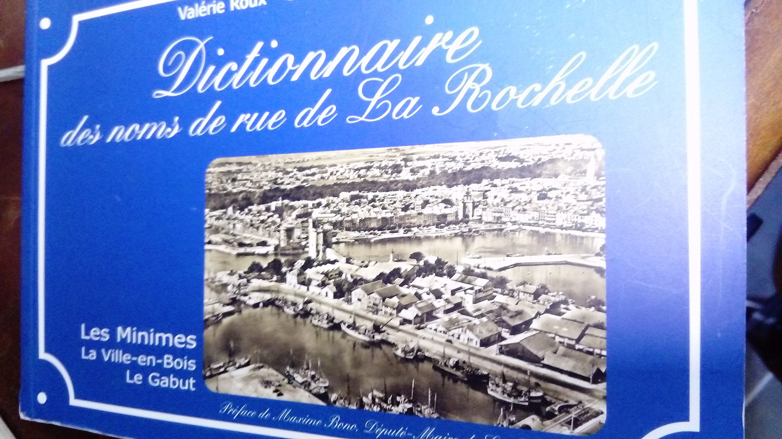 Dictionnaire des noms de rue de La Rochelle : Les Minimes, la Ville-en-Bois, le Gabut book