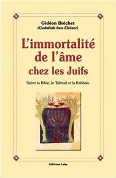L'immortalité de l'âme chez les juifs : selon la Bible, le Talmud et la Kabbale Religion & Esotericism
