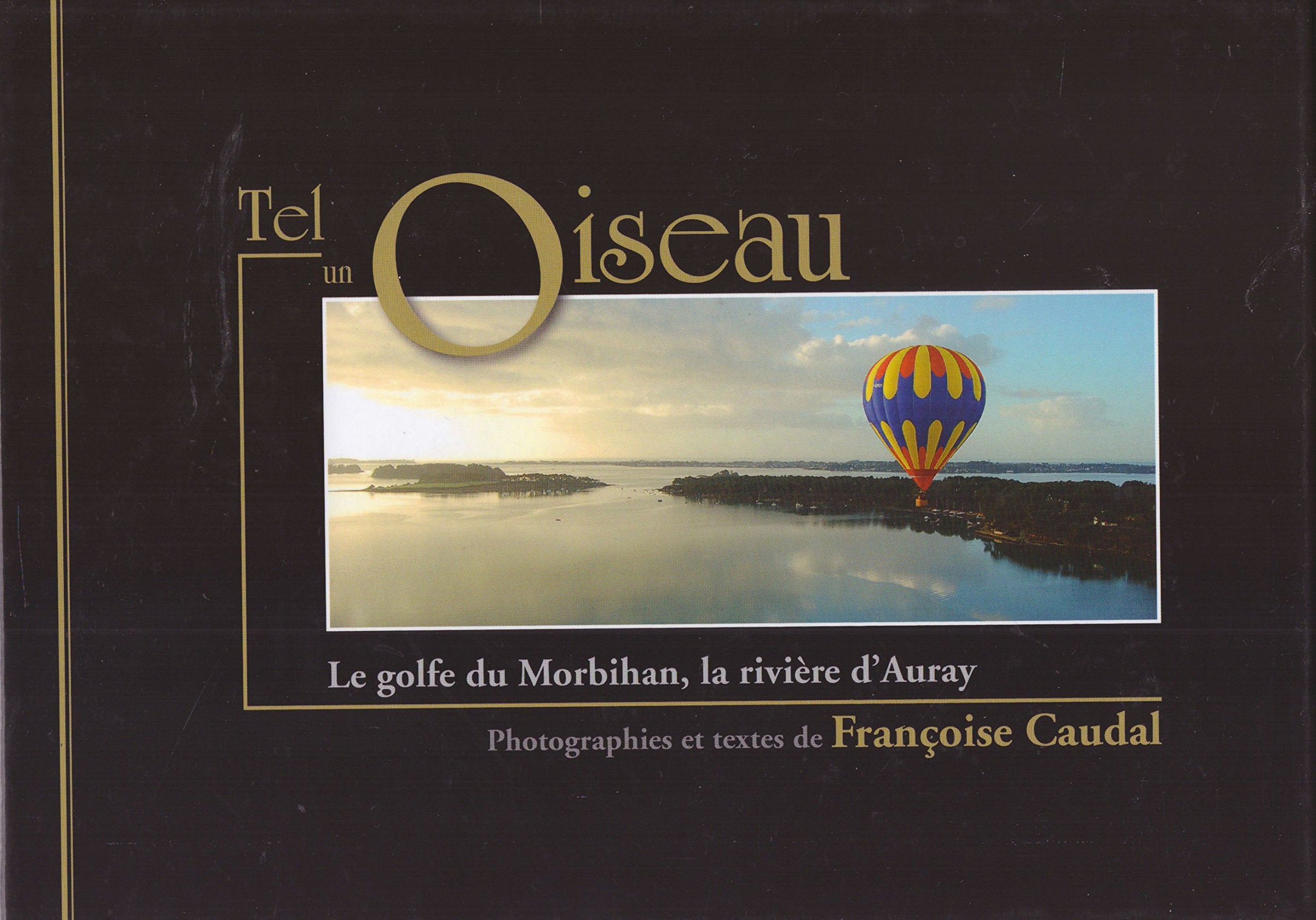 Tel un Oiseau - Le golfe du Morbihan, la riviere d'Auray Books