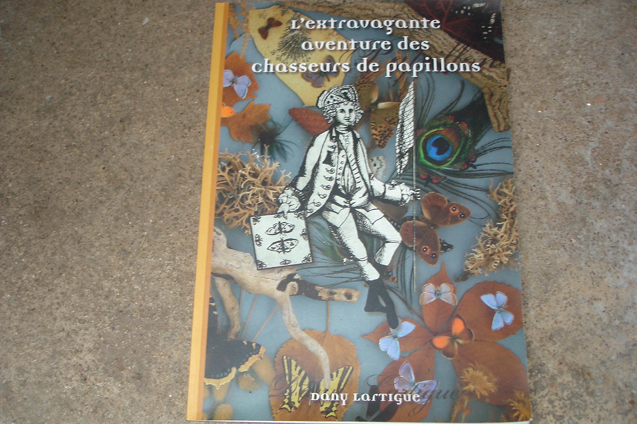 L'extravagante aventure des chasseurs de papillons book