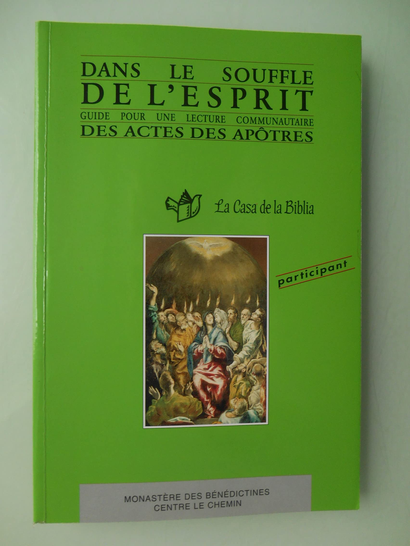 DANS LE SOUFFLE DE L'ESPRIT GUIDE POUR UNE LECTURE COMMUNAUTAIRE DES ACTES DES APÖTRES book