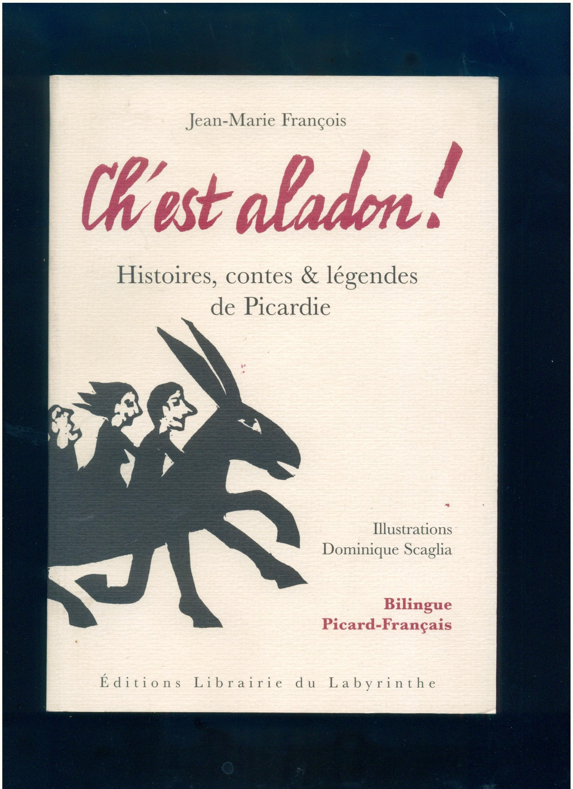 Ch'est aladon ! Histoires, contes er légendes de Picardie book