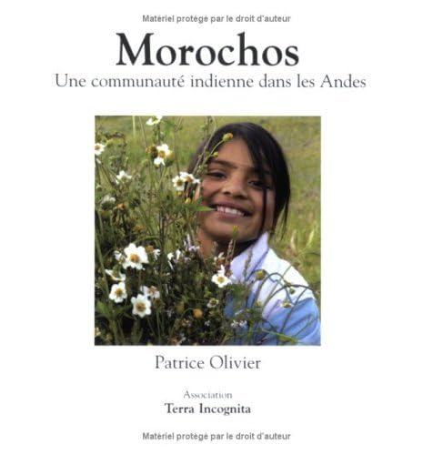 Morochos : Une communauté indienne dans les Andes book
