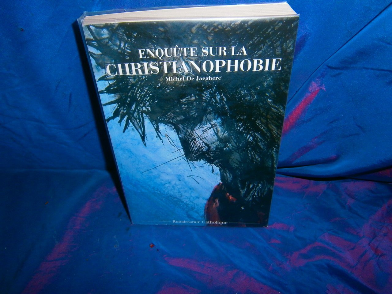 Enquête sur la christianophobie Books