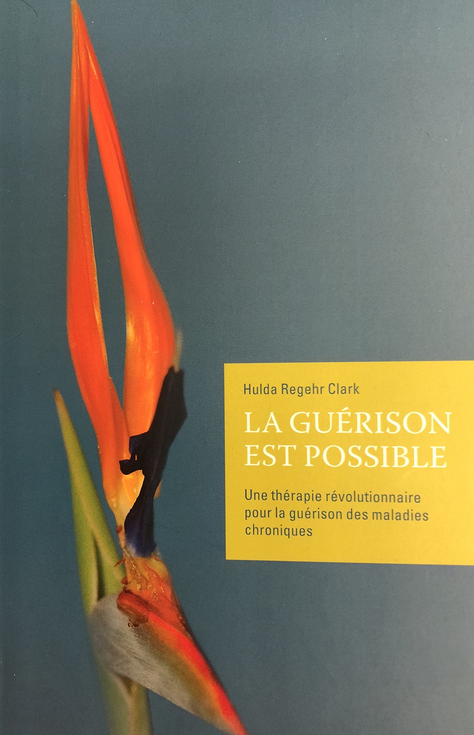 La cure de toutes les maladies - La guérison est possible Books