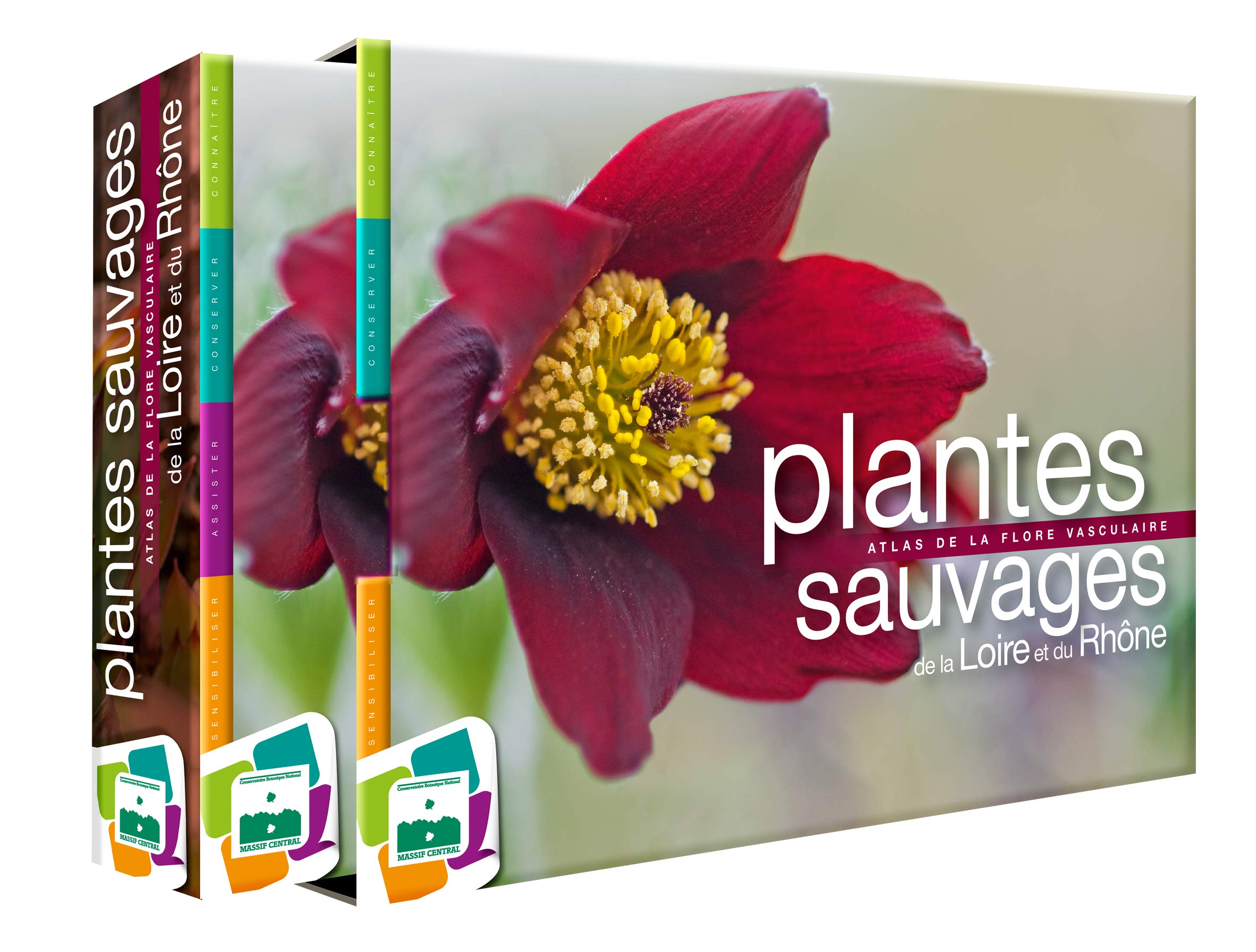 PLANTES SAUVAGES DE LA LOIRE ET DU RHÔNE: Atlas de la flore vasculaire Film, Art & Culture