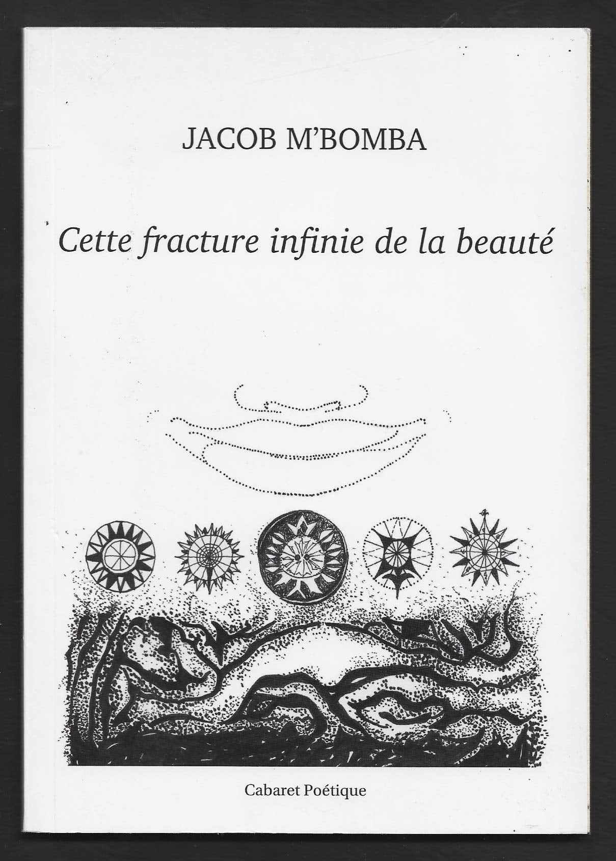 CETTE FRACTURE INFINIE DE LA BEAUTE book