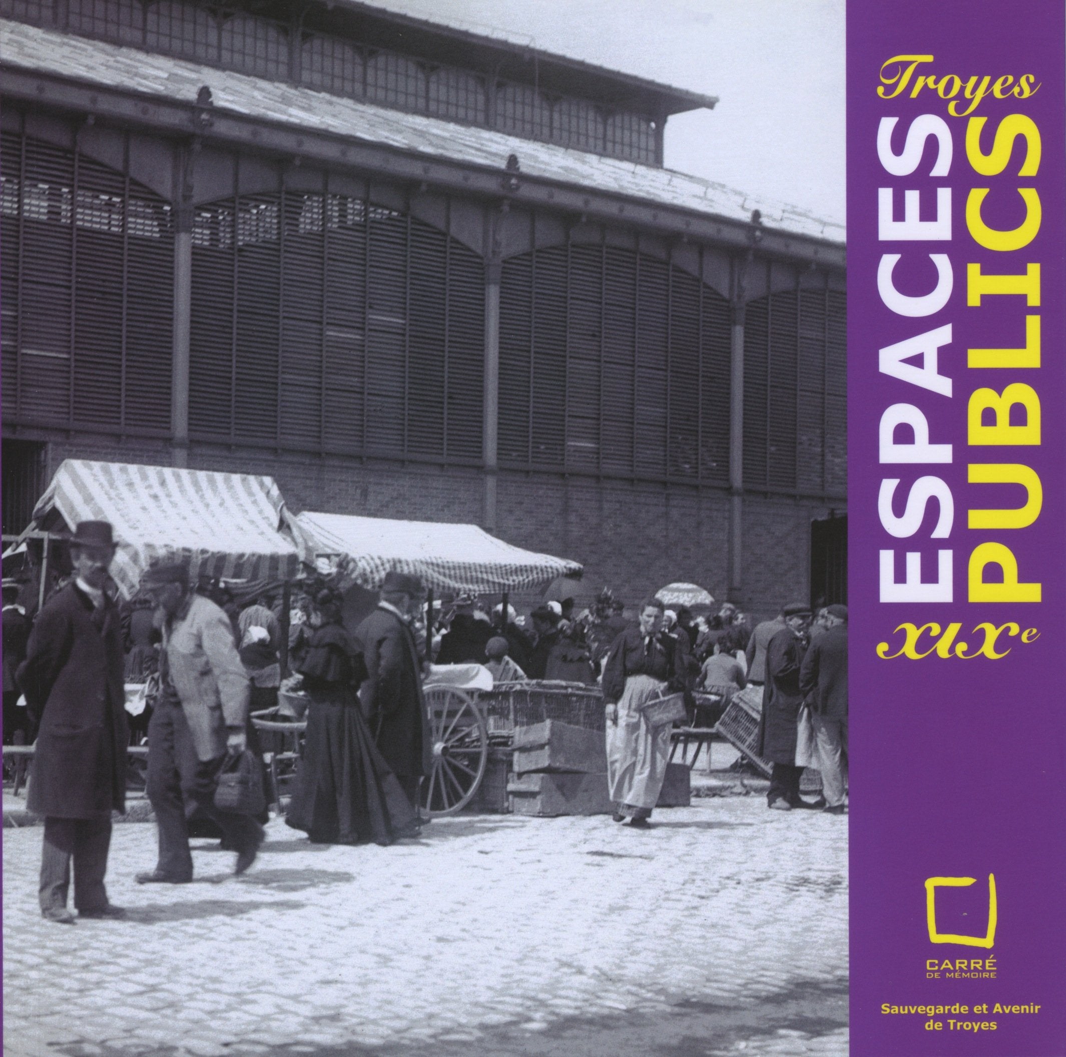 Troyes - Espaces publics XIXe book