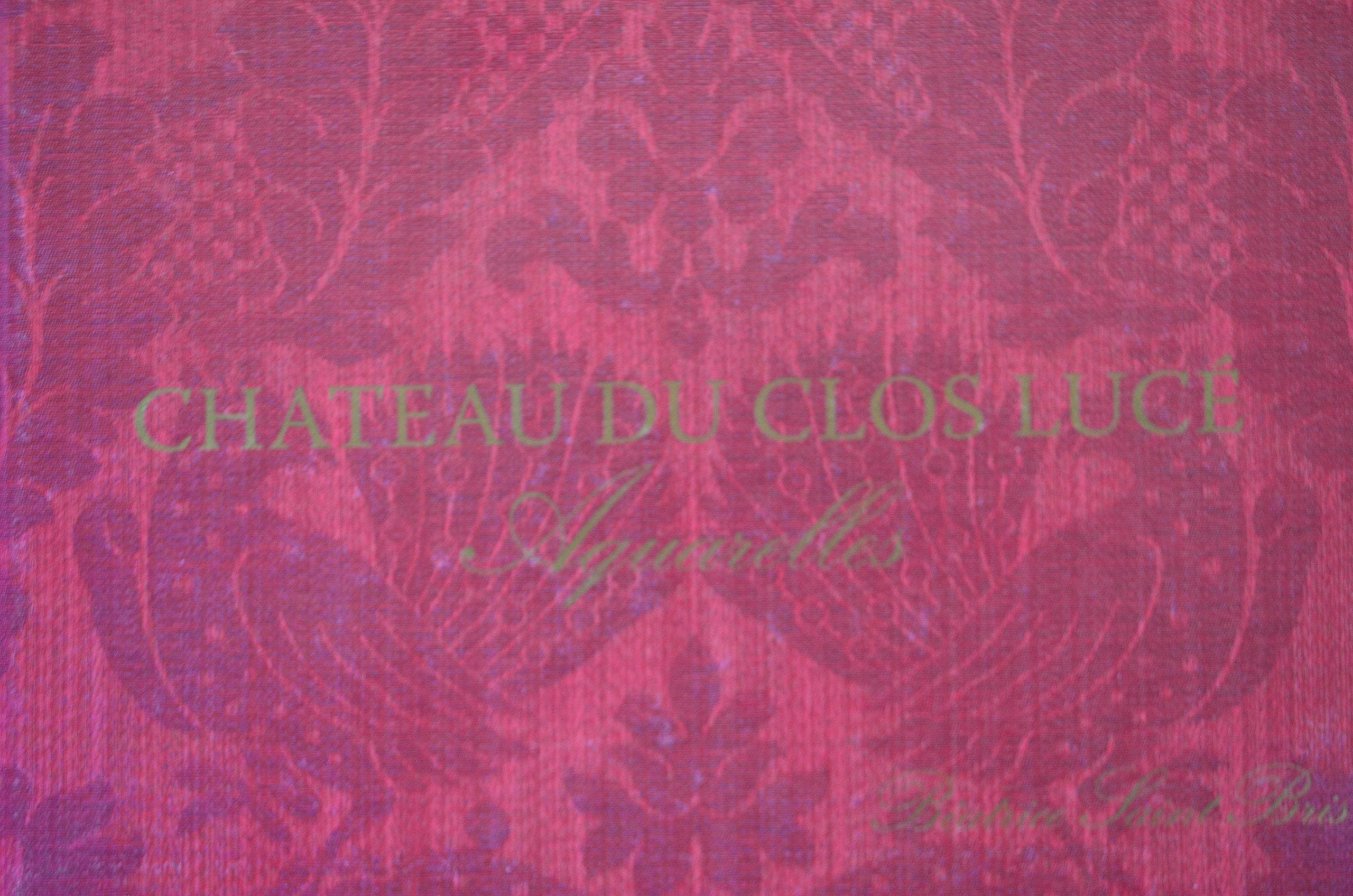 Château du Clos Lucé (Aquarelles) book