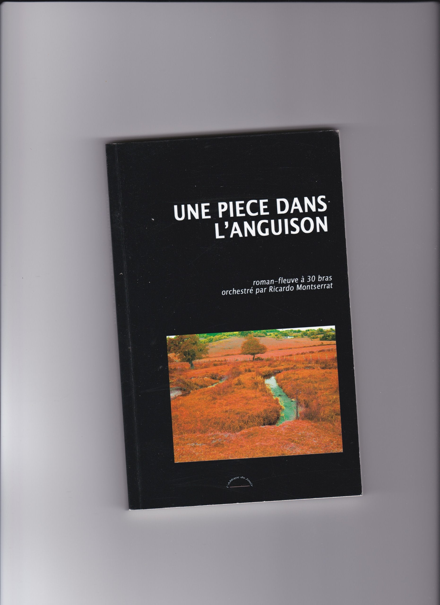 Une pièce dans l'Anguison : Roman fleuve à 30 bras book