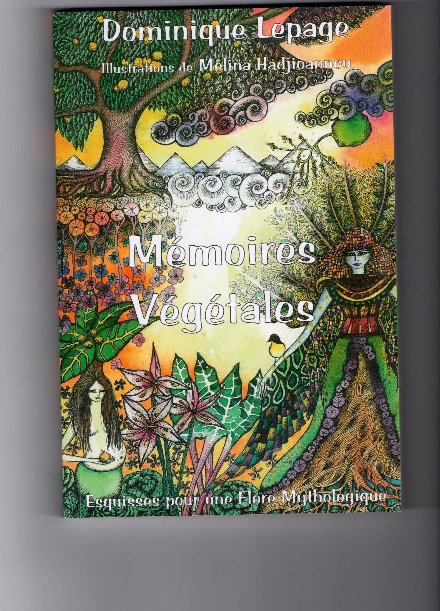 Mémoires végétales. Esquisses pour une flore mythologique Books