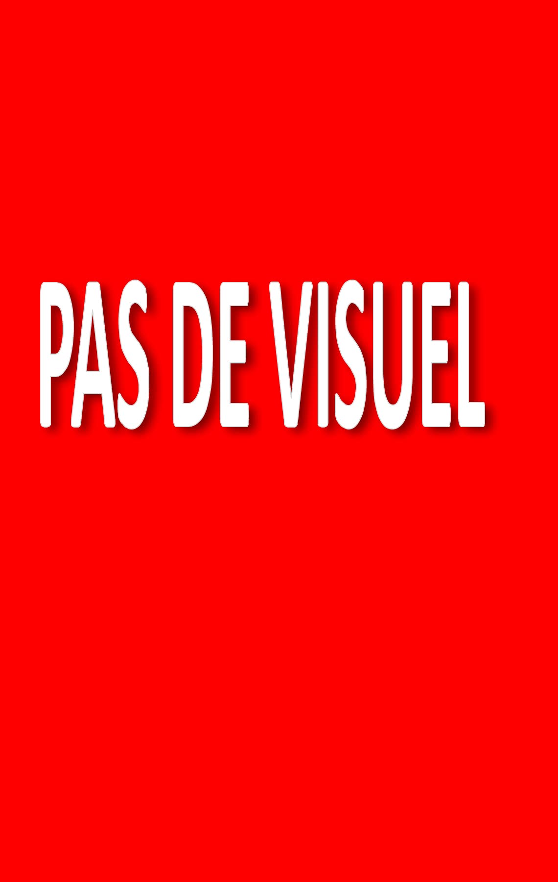 Il faut abattre DSK book