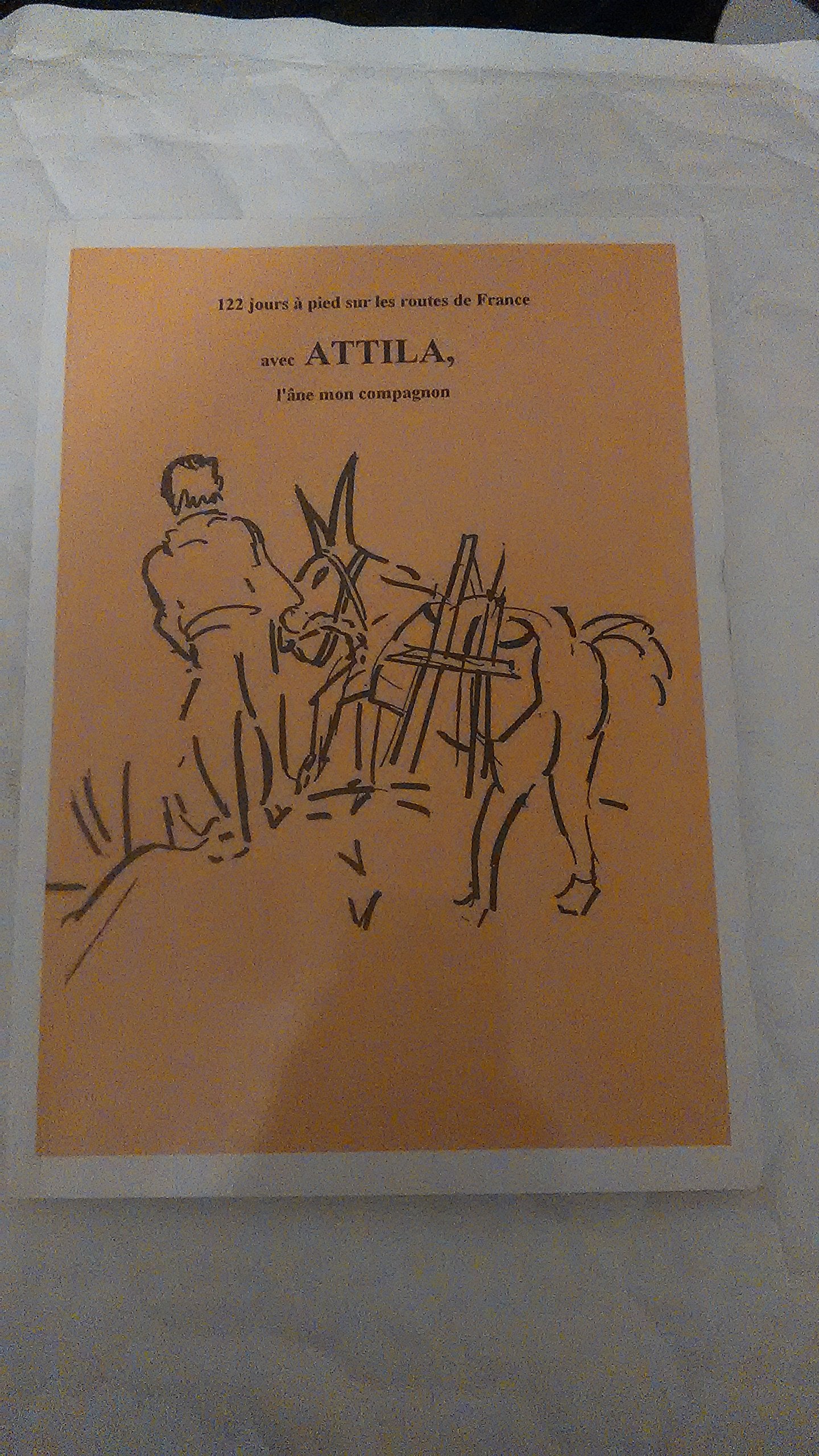 122 jours à pied sur les routes de France avec Atilla book