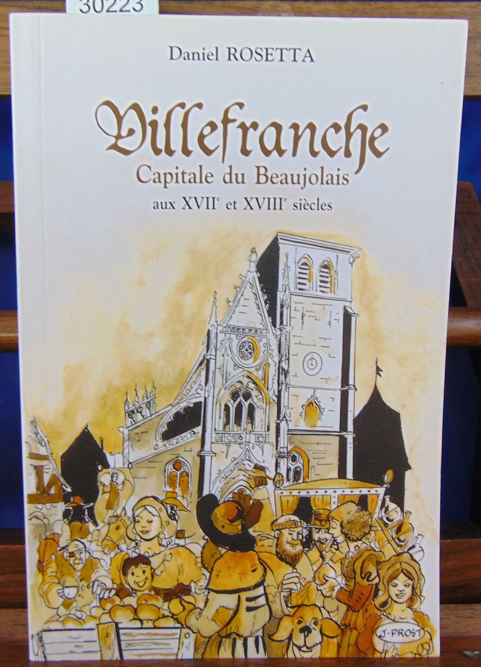 Villefranche, capitale du Beaujolais aux XVIIe et XVIIIe siècles book