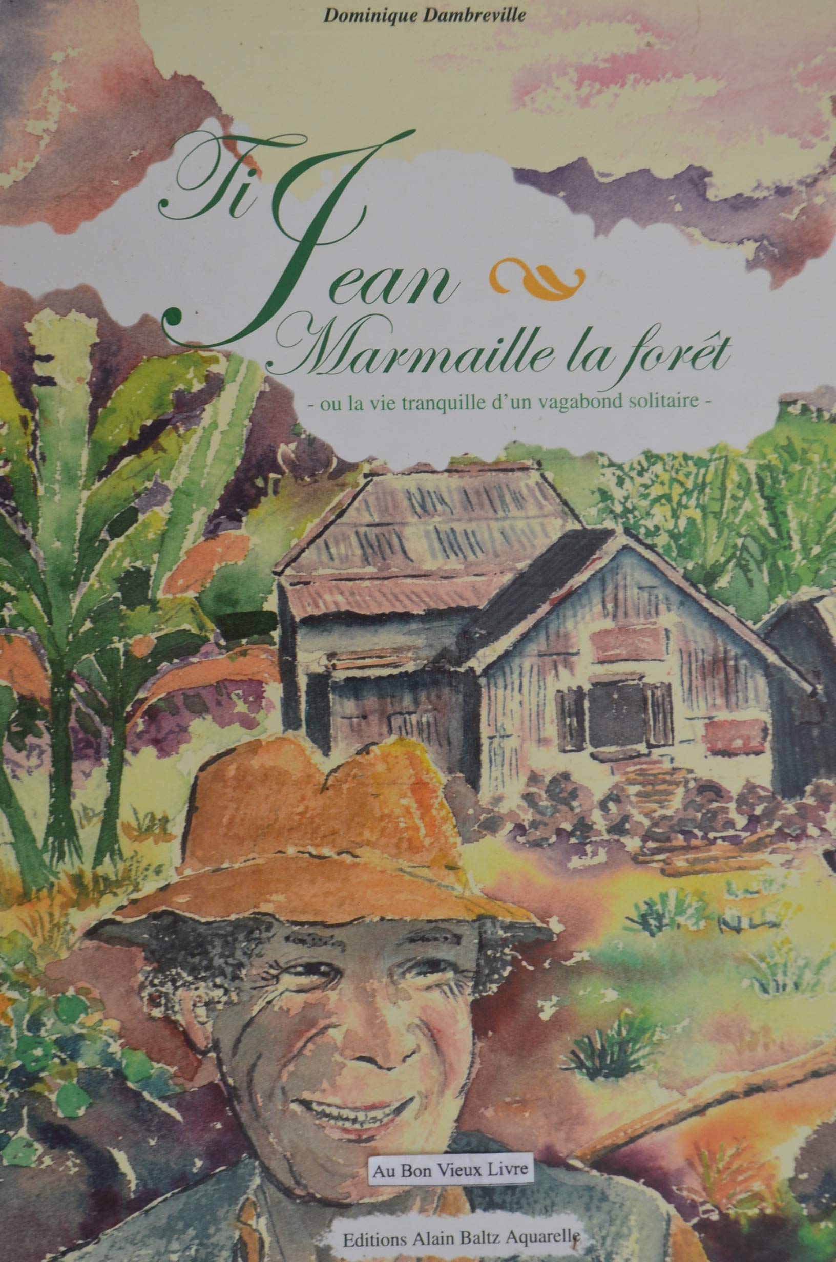 Ti Jean - Marmaille la forêt ou la vie tranquille d'un vagabond solitaire. book