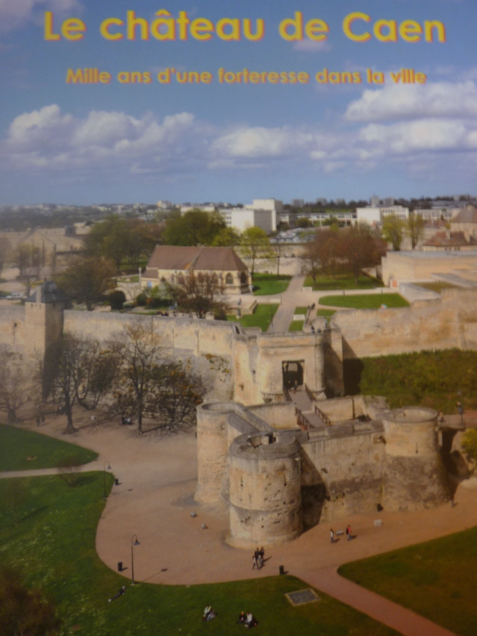 Le Château de Caen - Mille ans d'une forteresse dans la ville book