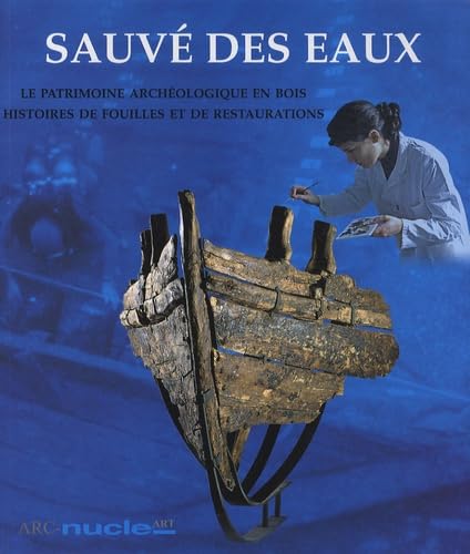 Sauvé des eaux: Le patrimoine archéologique en bois, histoires de fouilles et de restaurations book