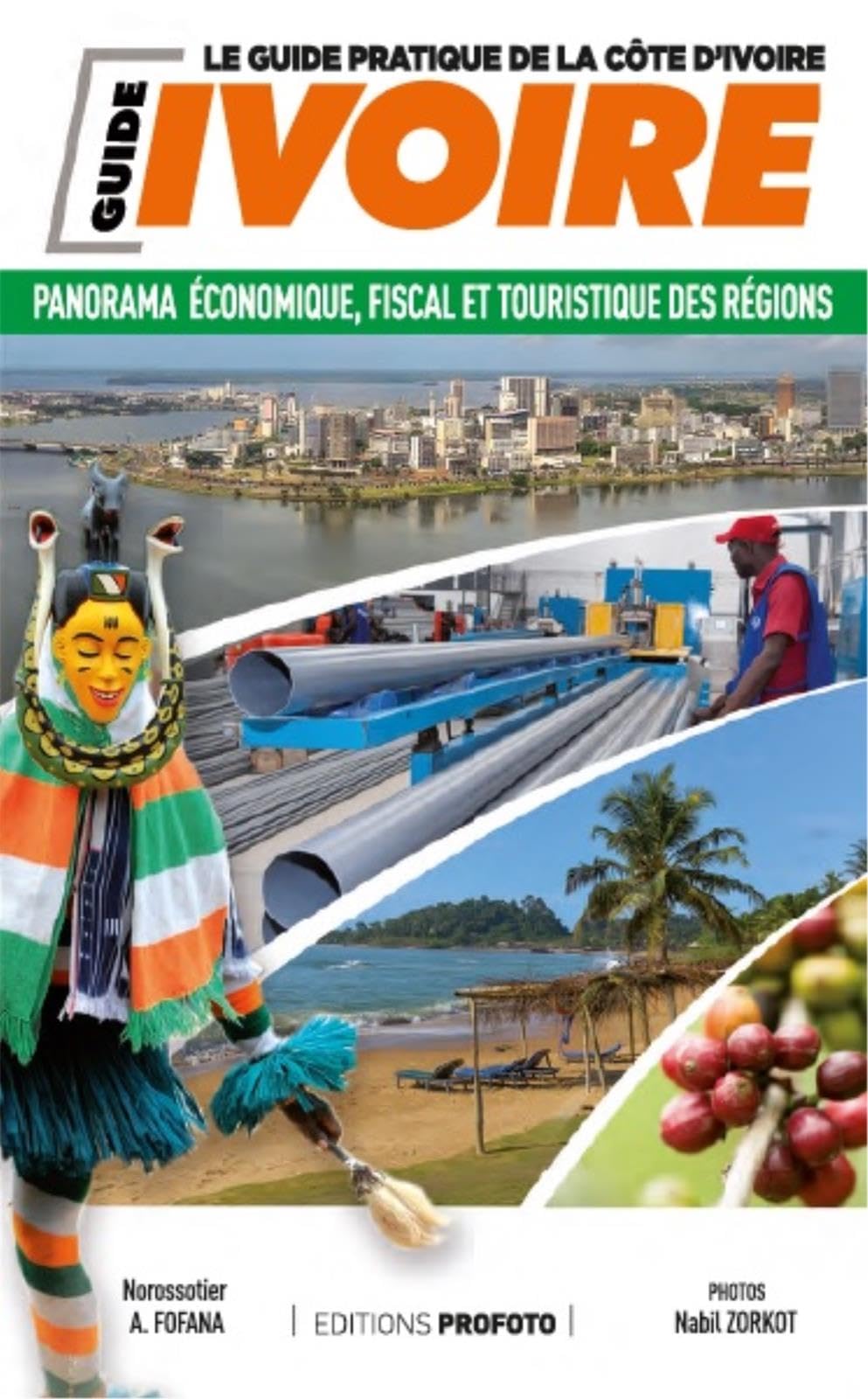 Côte d'Ivoire : Panorama économique, fiscal et touristique des régions Books