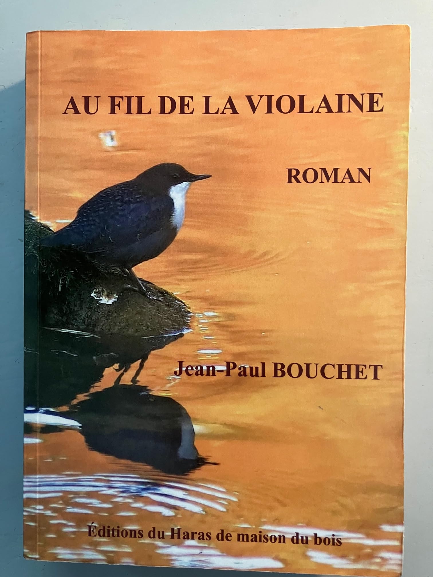 Au fil de la Violaine Books