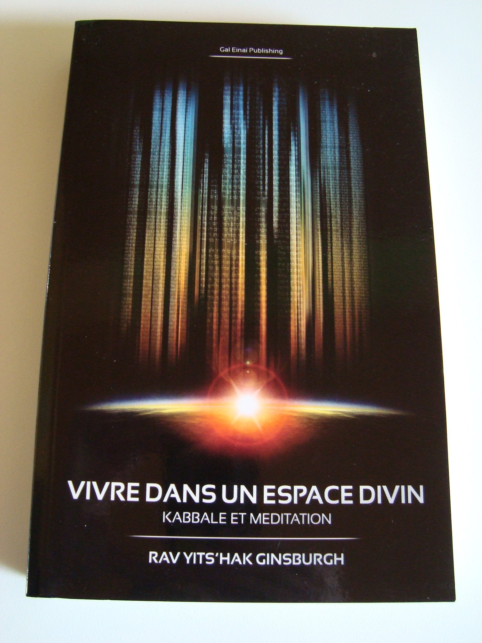Vivre dans un Espace Divin - Kabbale et Méditation book