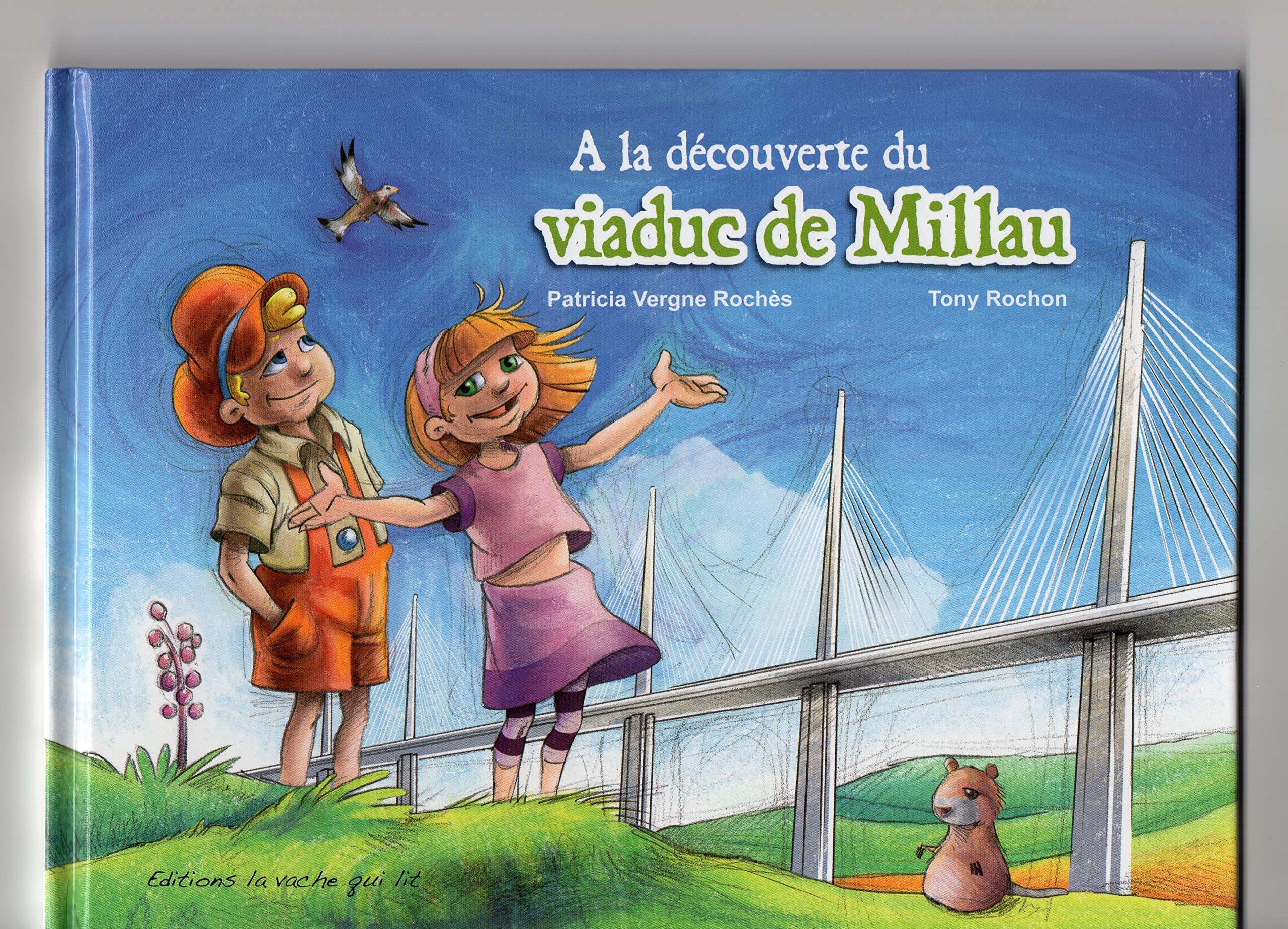 A la decouverte du viaduc de millau book