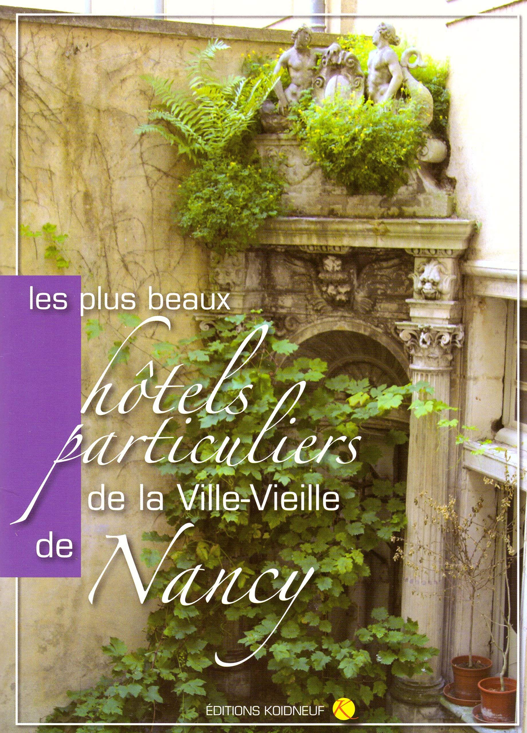 Les plus beaux hôtels particuliers de la ville vieille de Nancy Books