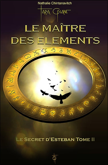 Le secret d'Esteban. Vol. 2. Le maître des éléments book
