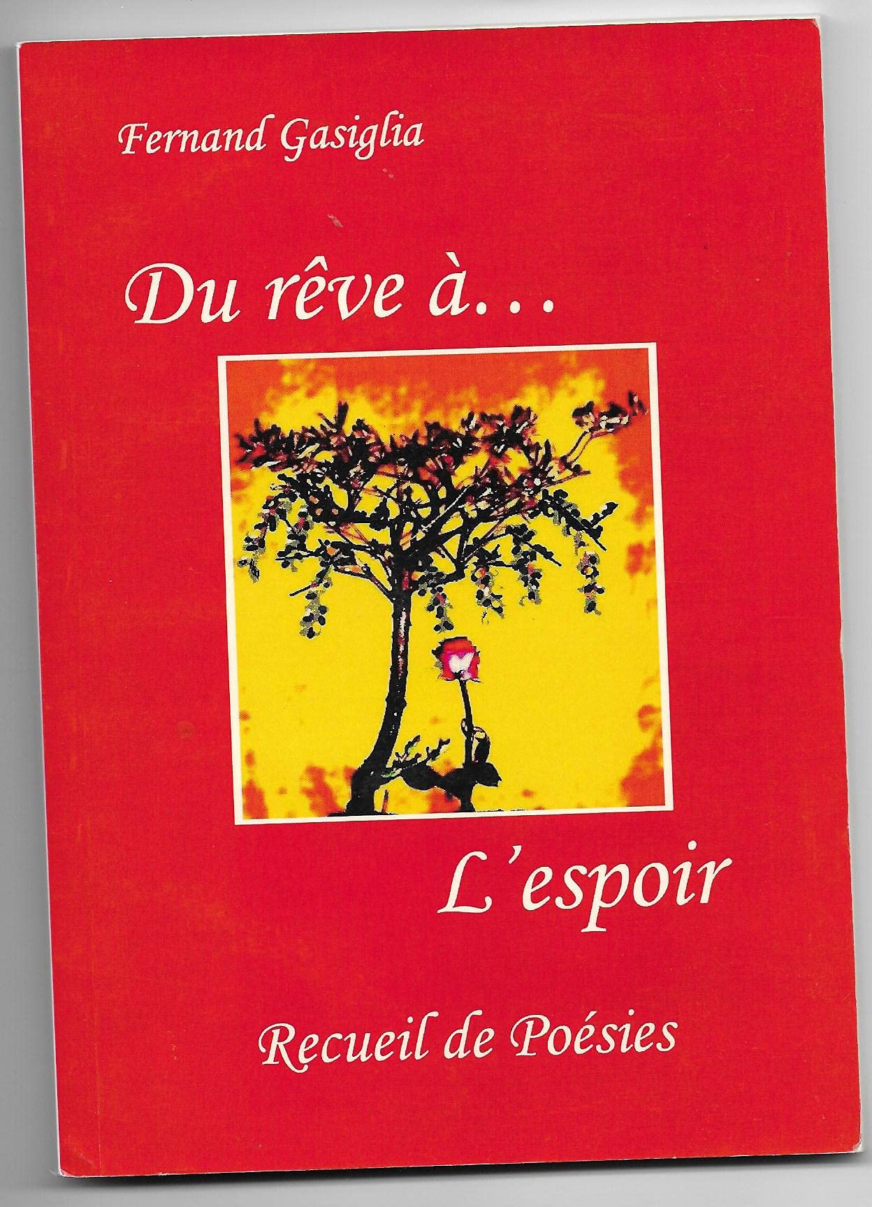 DU RÊVE A ...L'ESPOIR - RECUEIL DE POESIES book