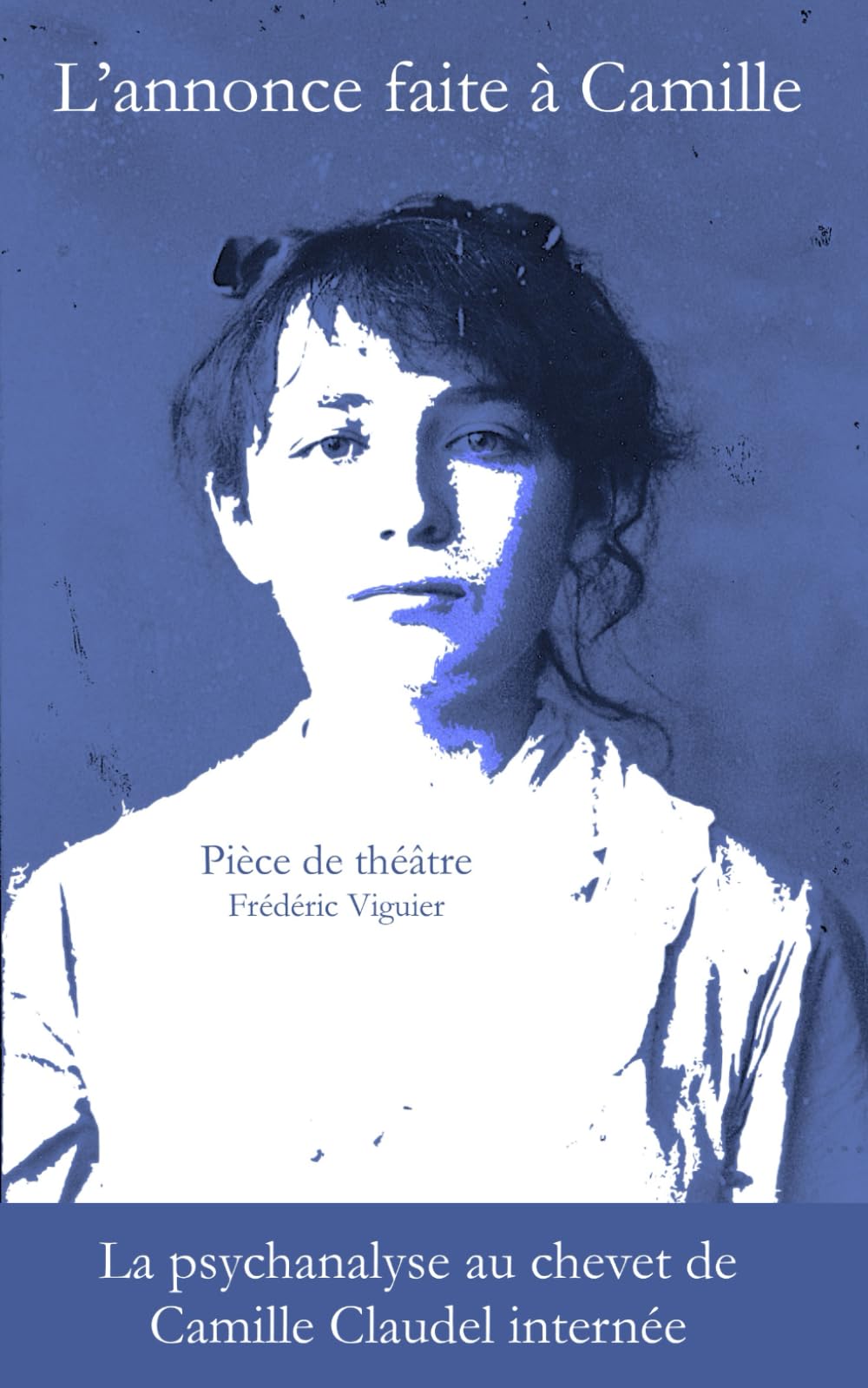 L'annonce faite à Camille: la psychanalyse au chevet de Camille Claudel book