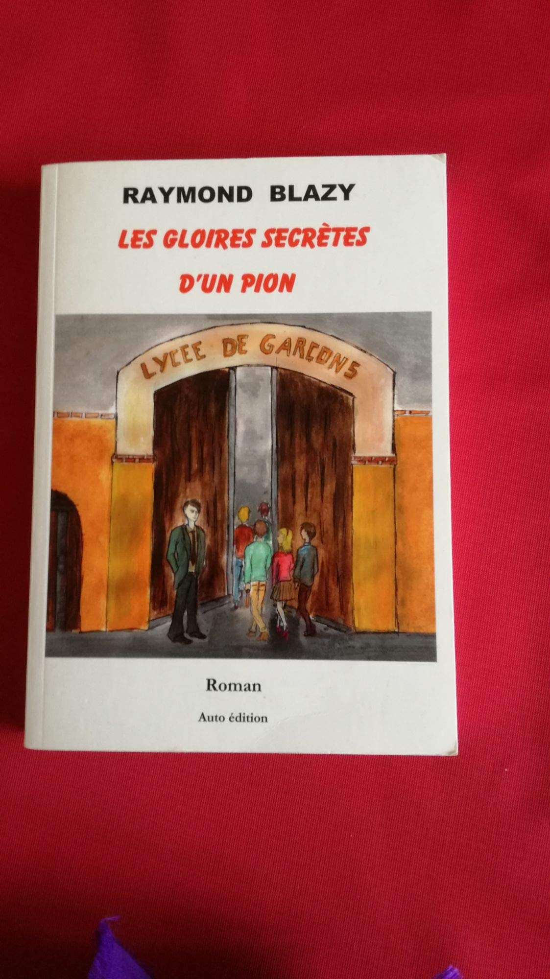 Les Gloires Secrètes D'un Pion book