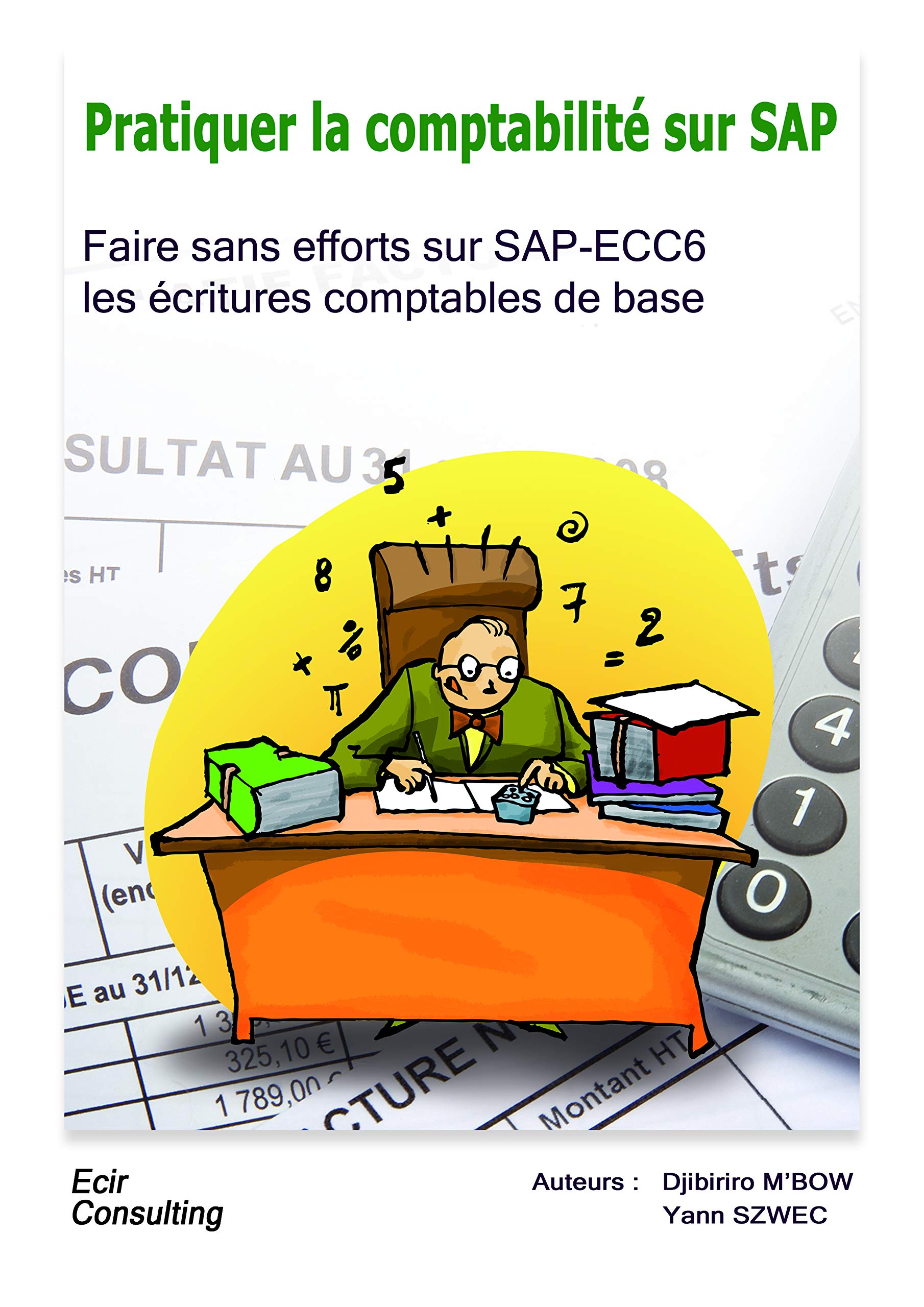 Pratiquer la comptabilité sur SAP: Faire sans effort les écritures comptables de base sur ECC6 book