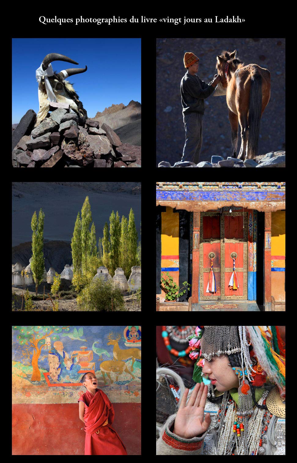 Vingt jours au LADAKH - voyage photographique au coeur de l'Himalaya indien book
