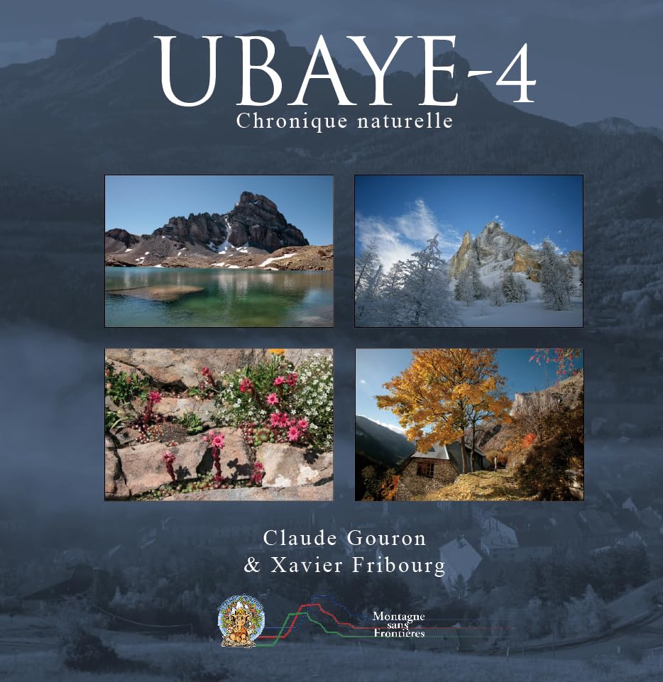 UBAYE 4 - Chronique naturelle book