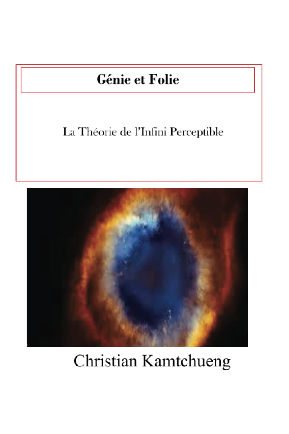 Genie et Folie: La Theorie de l'Infini Perceptible Contemporary literature