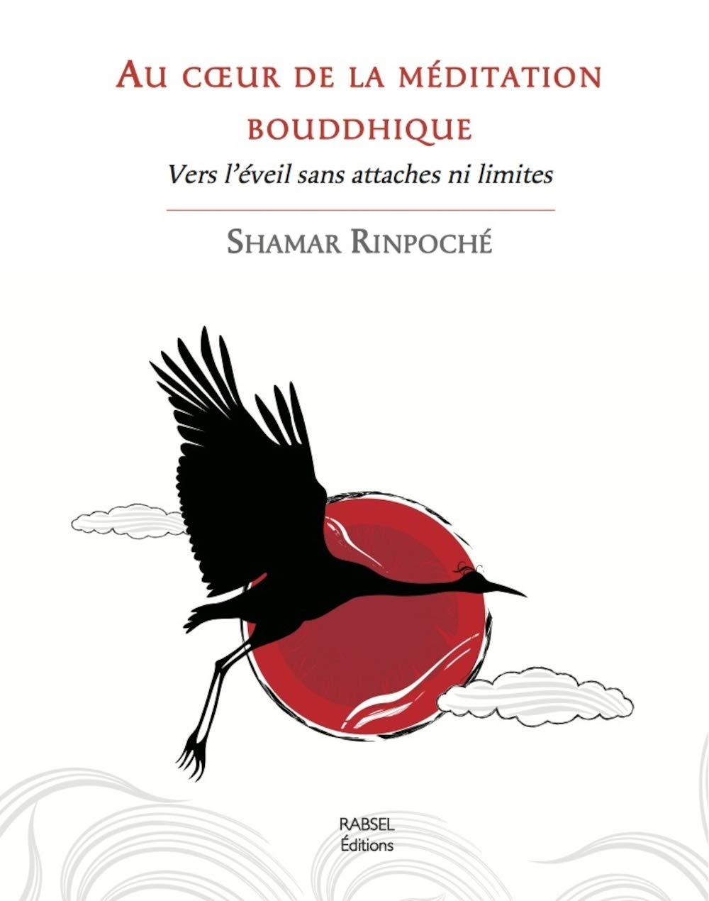 Au coeur de la méditation bouddhique : Vers l'éveil sans attaches ni limites Religion & Esotericism