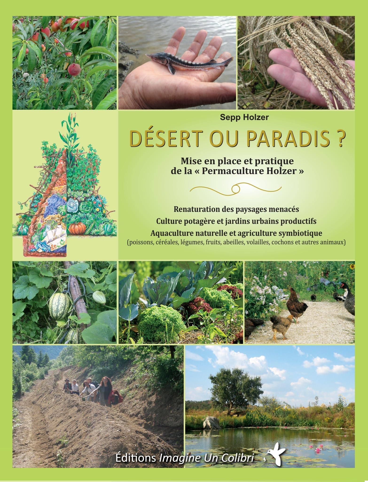 Désert ou paradis - mise en place et pratique de la "Permaculture Holzer" Books