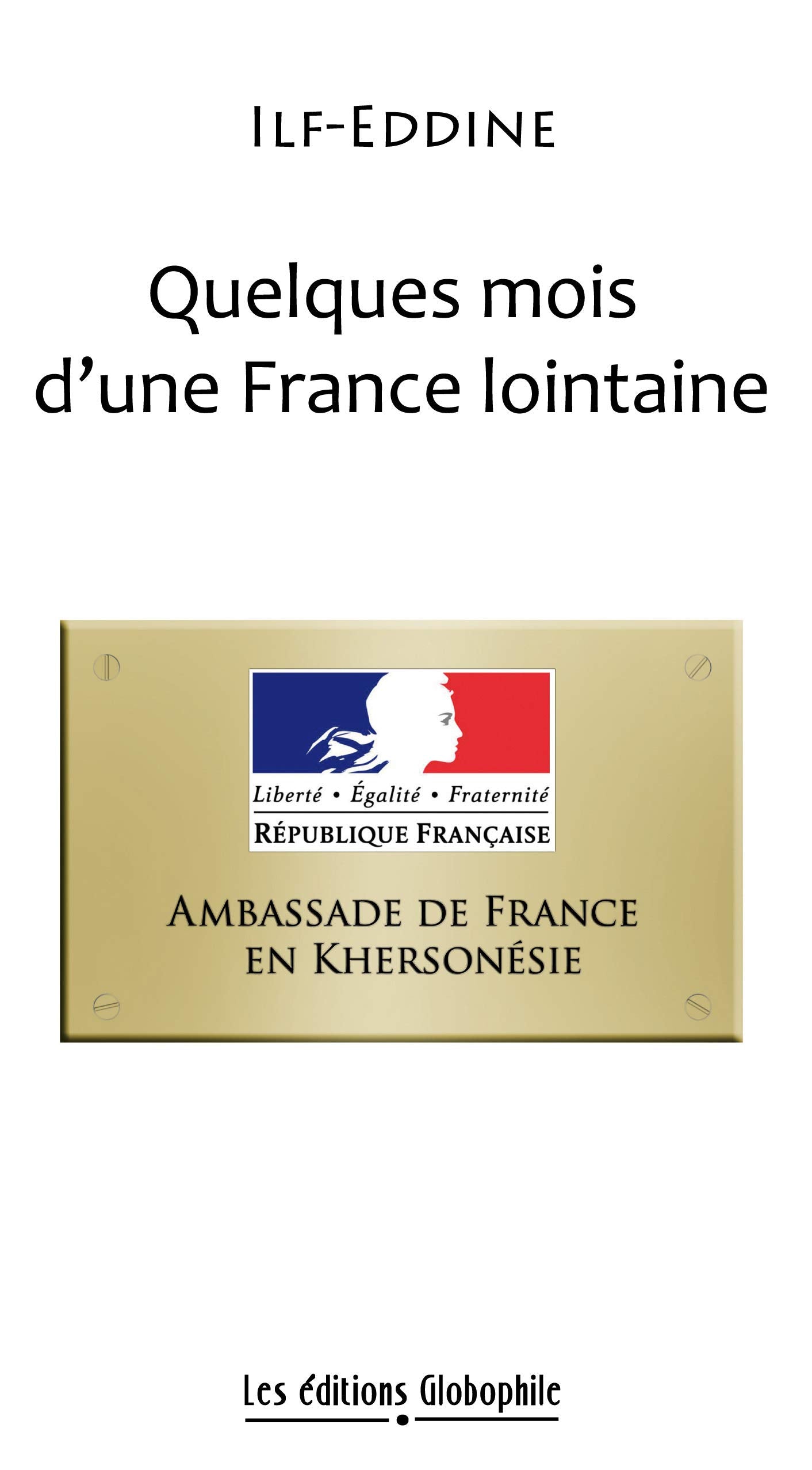Quelques mois d'une France lointaine Contemporary literature