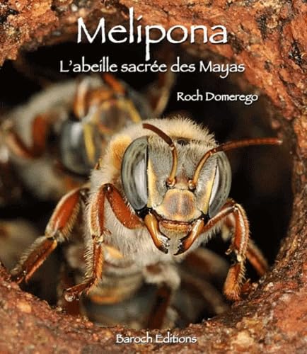 Mélipona : L'Abeille sacrée des Mayas Natural Sciences