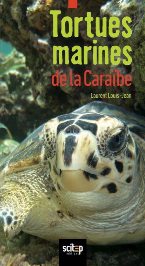 Tortues marines de la Caraïbe Leisure, Home & Garden