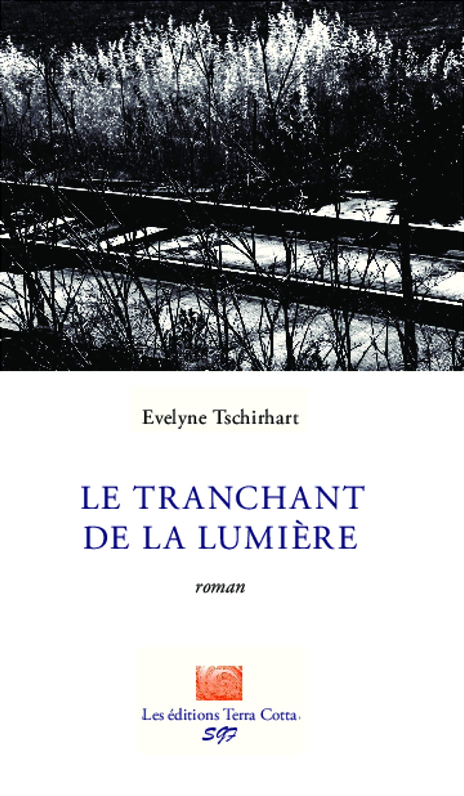 Le tranchant de la lumière: Roman book