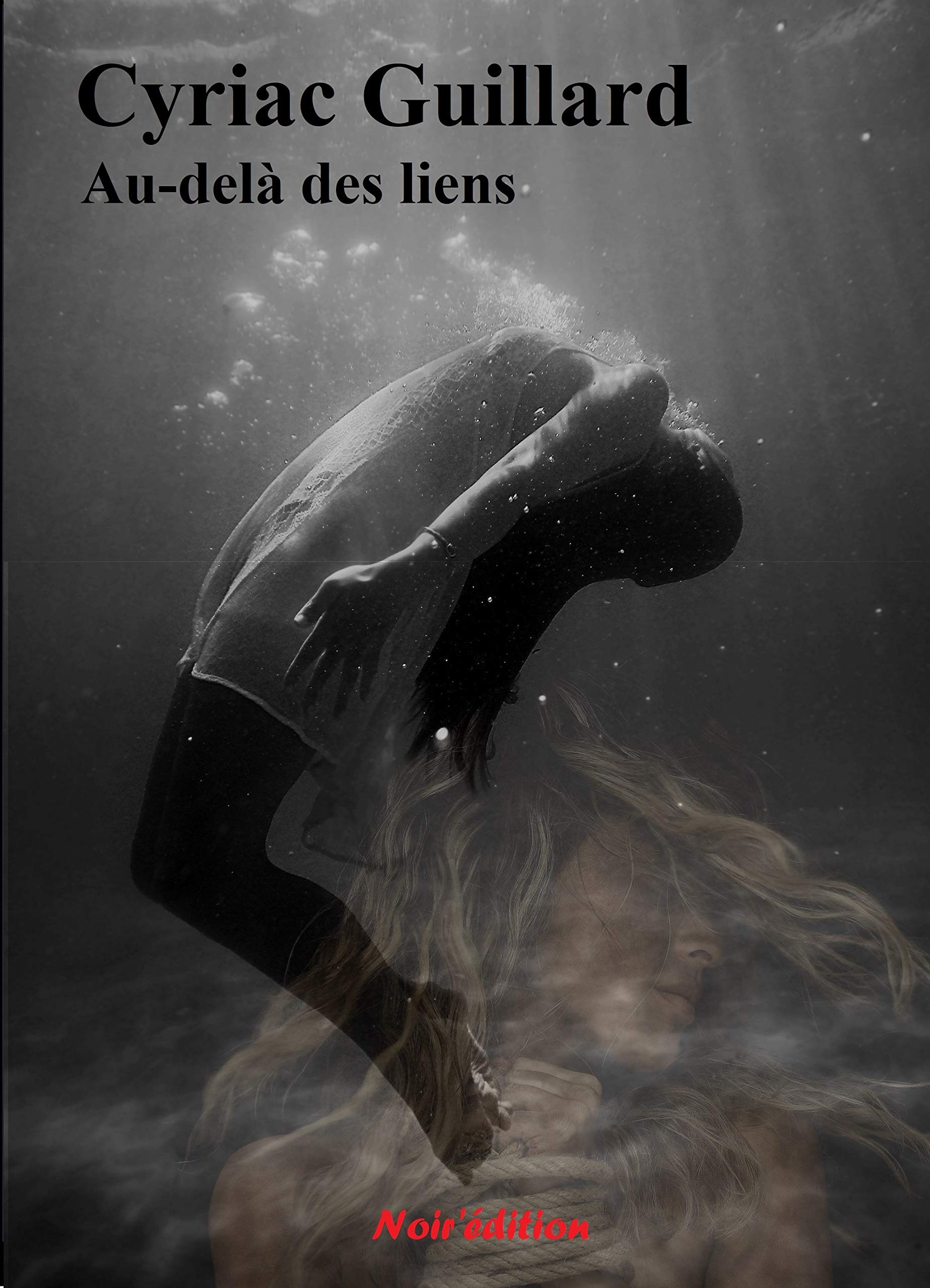 Au-delà des liens book