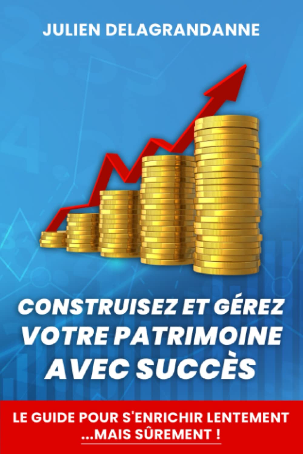 Construisez et gérez votre patrimoine avec succès - Guide pour s'enrichir lentement...mais sûrement !: (Édition Grand Format) Reference Books