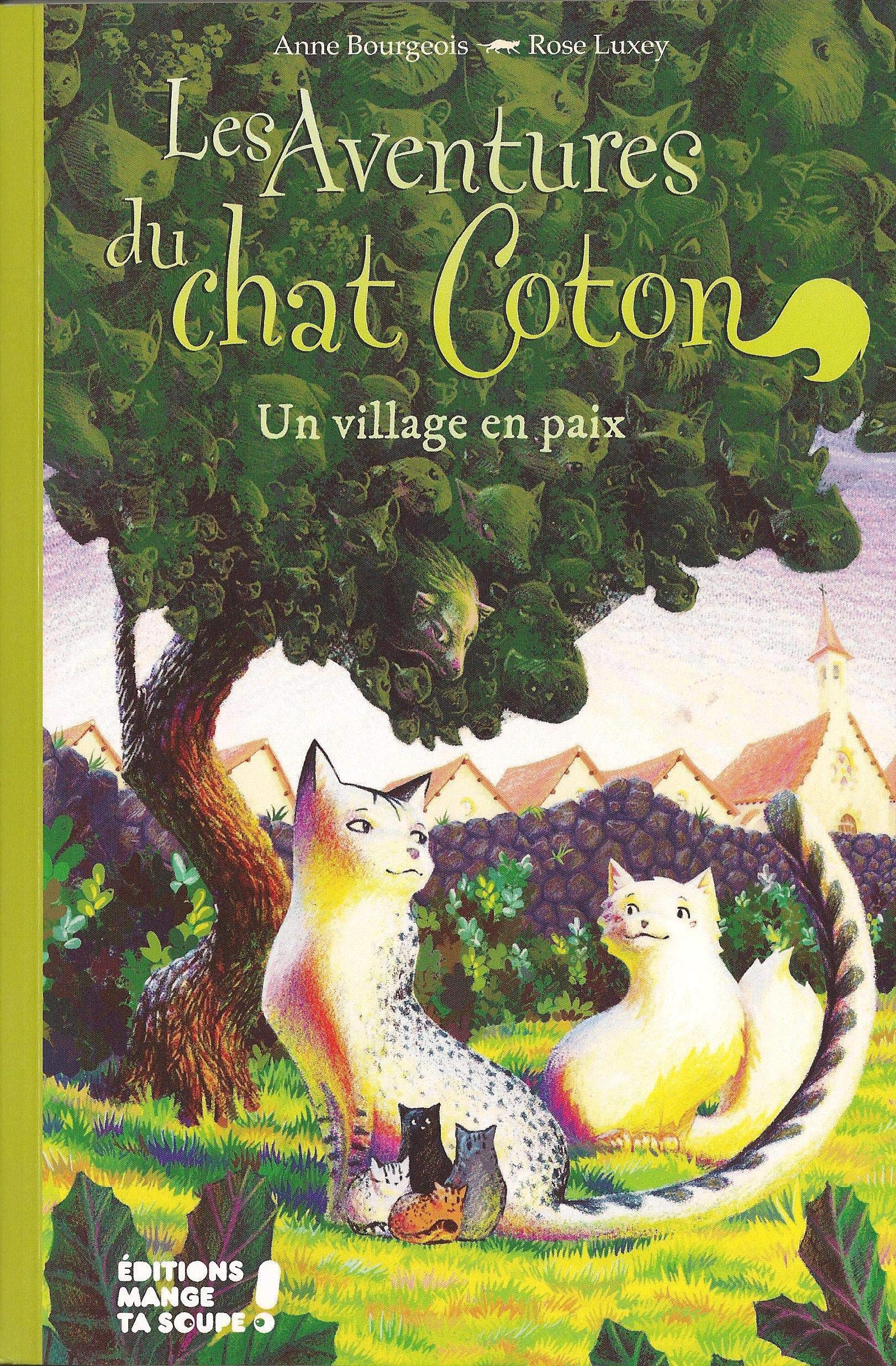 Les aventures du chat Coton - Un village en paix book
