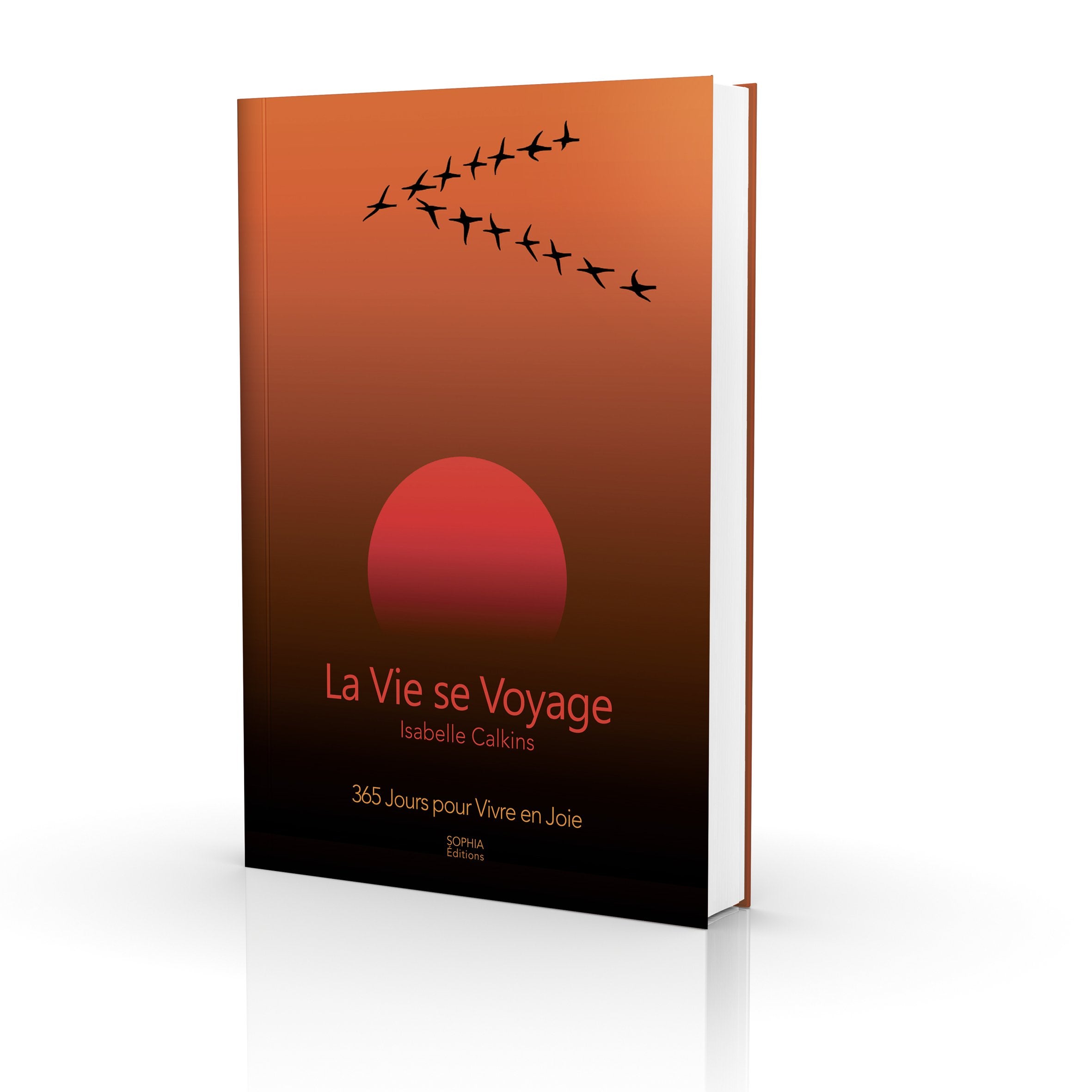 La Vie Se Voyage - 365 Jours Pour Vivre En Joie book