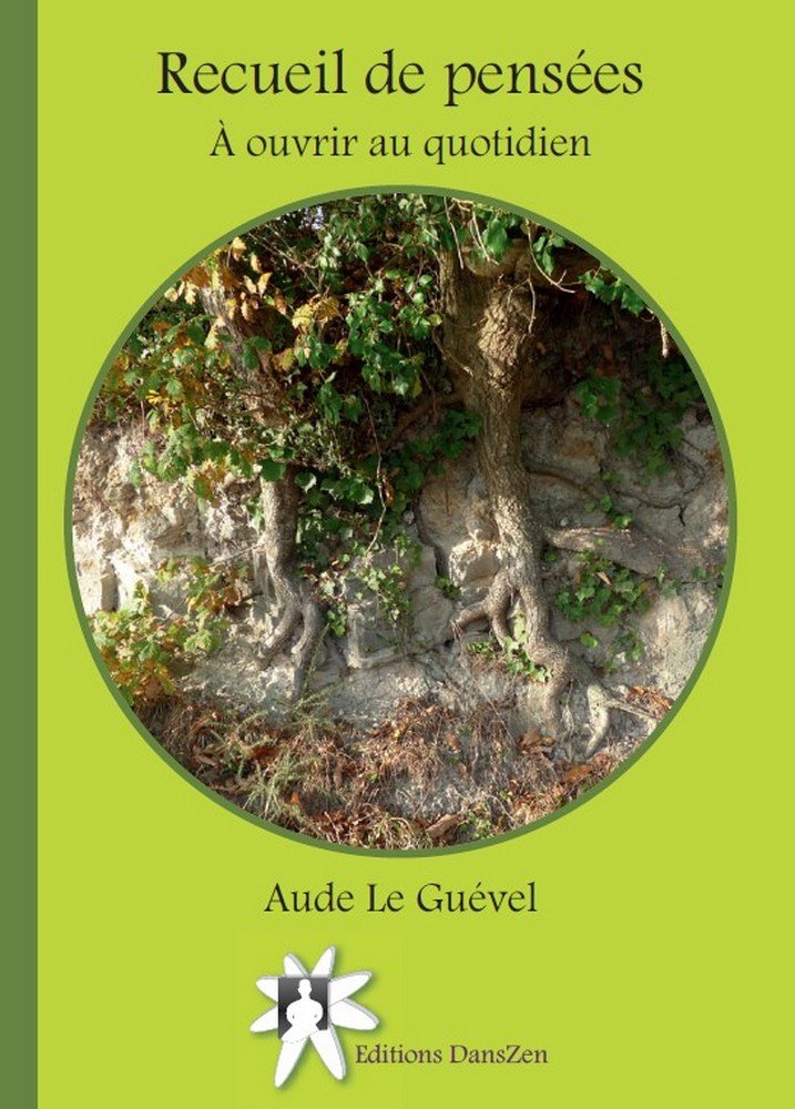 Recueil de pensées à ouvrir au quotidien book