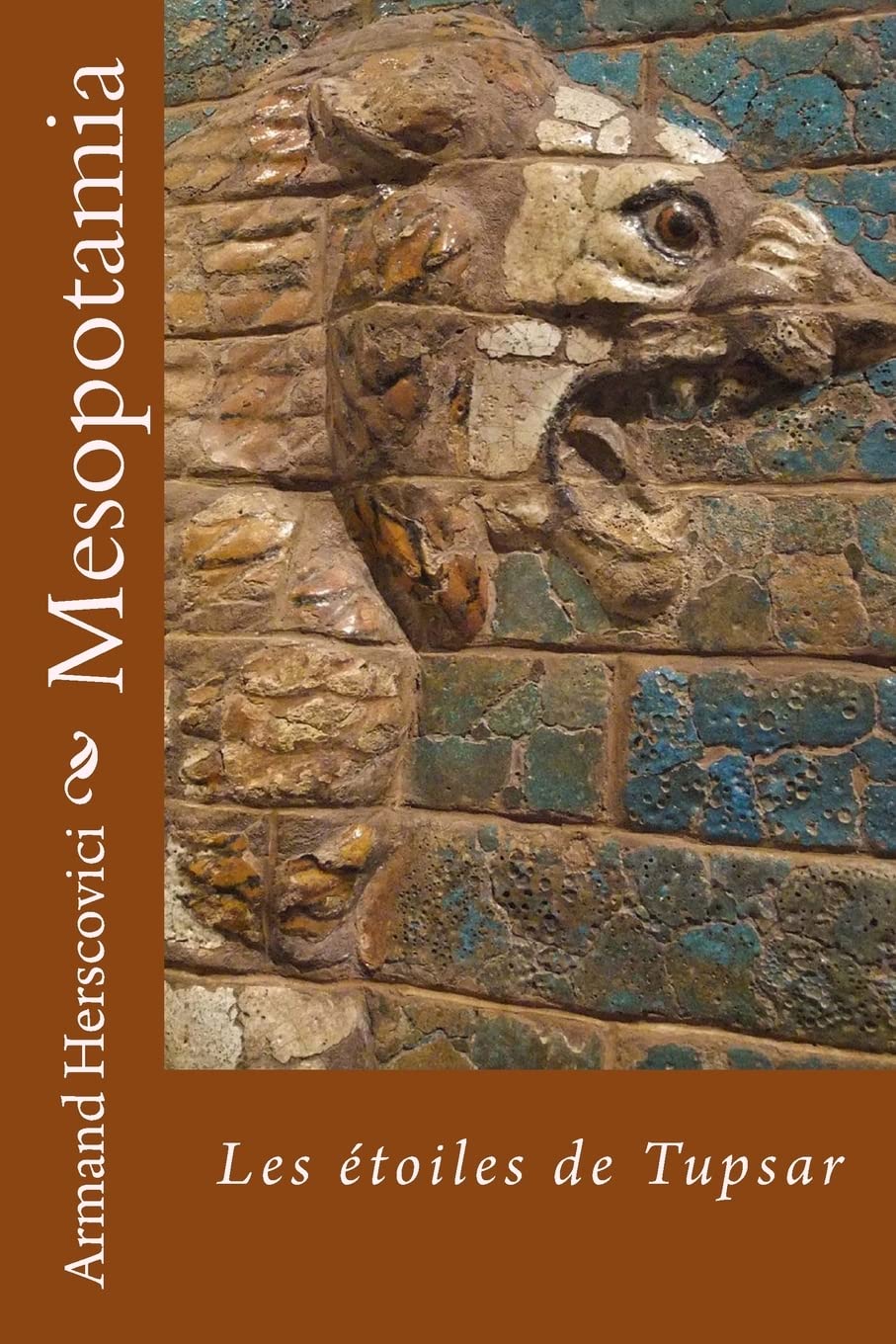 Mesopotamia: Les étoiles de Tupsar book